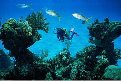 PlayStation土耳其游戏价格上涨 3A游戏售价高达85美元